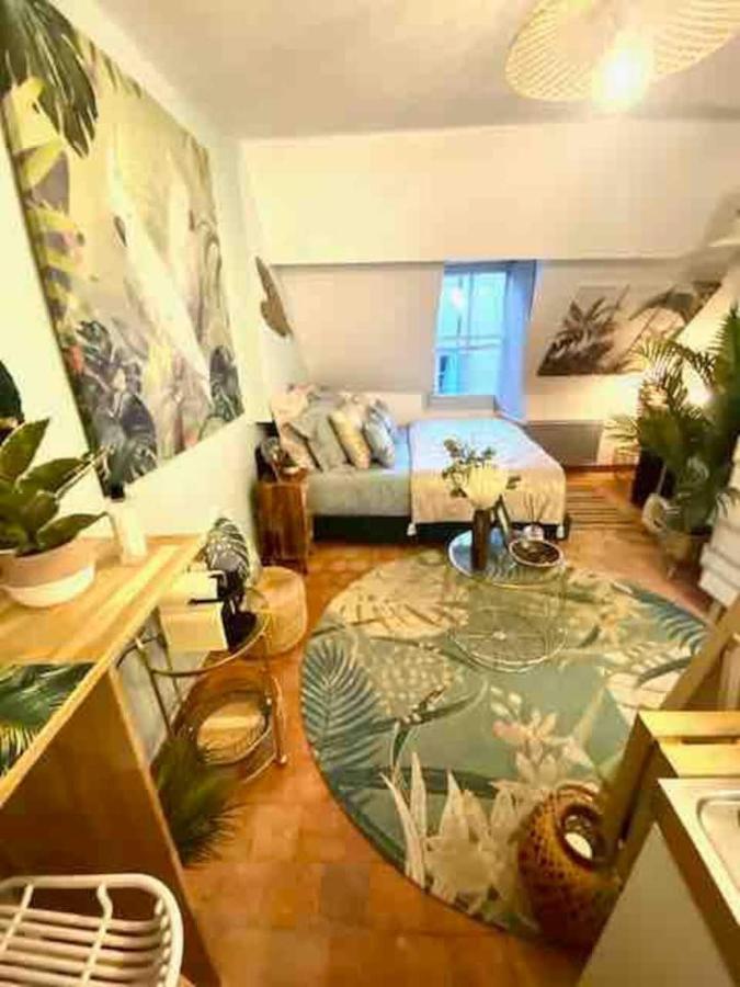 Appartement Escale Tropicale à Blois Extérieur photo