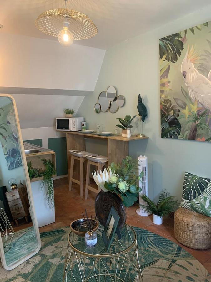 Appartement Escale Tropicale à Blois Extérieur photo